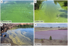 Toxic Algae in Inland Waters of the Conterminous United States&mdash;A Review and Synthesis