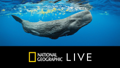 Secrets of The Whales with Underwater Photographer, Brian Skerry ...