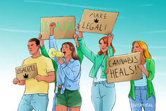 Medical Cannabis Markets and Federal Legalization