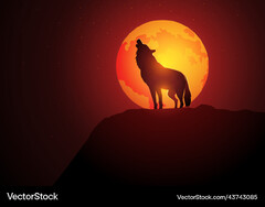 Wolf howling during moon Royalty Vector