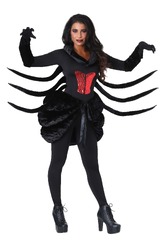 Women's HalloweenCostumes Black Widow Spider Costume for (Women's FUN Costumes Plus Black Widow Costume)