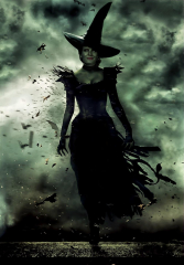 The Wicked Witch of The West (Wicked Witch)