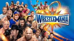 Wwe World Wrestling Entertainment Wrestle Mania Randy Orton Bray Wyatt Roman Reigns Edible Cake Topper (WrestleMania 33)