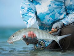 Hosted fly fishing trips to Christmas Island — Wilderness Fly Fishing