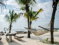 Hammock on the beach