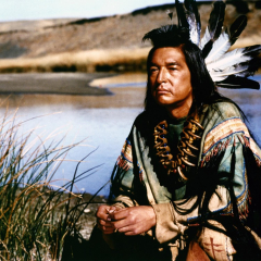 Dances with Wolves 1990 Directed by Kevin Costner Graham Greene