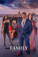 The Family Business TV Series