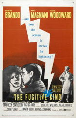 The Fugitive Kind (1959) Movie