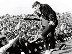 Elvis Presley (American singer)
