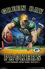 GREEN BAY PACKERS - END ZONE 17