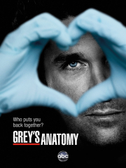 Grey's Anatomy TV Series