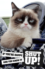 Grumpy Cat - Shut Up
