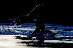 hand, swimmer, swimming pool