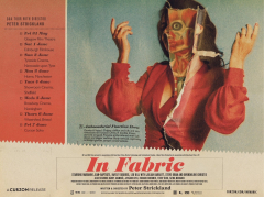 In Fabric (2019) Movie