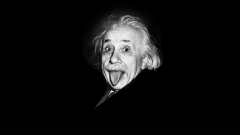 Albert Einstein Albert Einstein scientist physicist