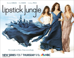 Lipstick Jungle TV Series