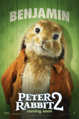 Peter Rabbit 3 News & Updates: Everything We Know