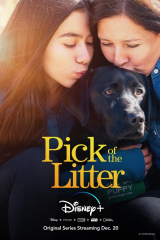 Pick of the Litter TV Series