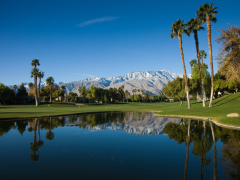 Pond in a Golf Course, Desert Princess Country Club, Palm Springs, Riverside County, California