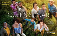 Queen Sugar TV Series