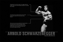 Arnold Schwarzenegger Fitness Bodybuilding