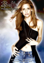 Buffy The Vampire Slayer Tv Show Style V