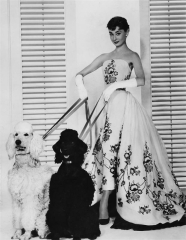 Actress Audrey Hepburn Material