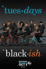 Black ish Season 4 TV Series