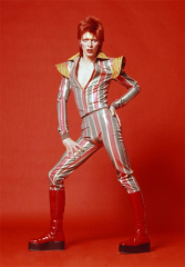 British Rock Singer Actor David Bowie