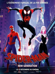 Spider Man Into the Spider Verse Movie French Film