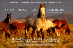 Save the American Wild Horse
