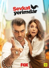 Sevkat Yerimdar TV Series