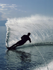 Silhouetted Water Skier