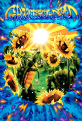 Terrapin Sunflower