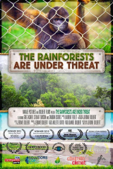 The Rainforests Are Under Threat