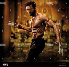 Hugh Jackman (The Wolverine) (X-Men Origins: Wolverine)