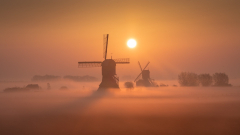 Man Made Windmill Buildings Netherlands Fog