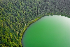 Photography Aerial Forest Lake Greenery