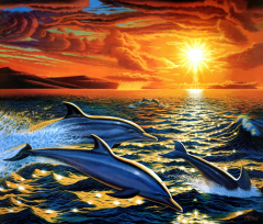Artistic Painting Dolphin