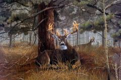 Artistic Painting Deer