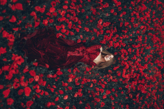 Women Model Models Poppy Red Flower Red Dress Lying Down