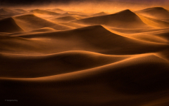 Earth Desert Sand Dune