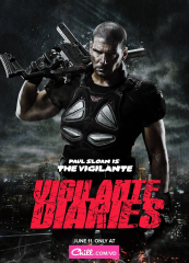 Vigilante Diaries TV Series