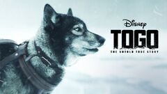 Togo (togo movie hd)